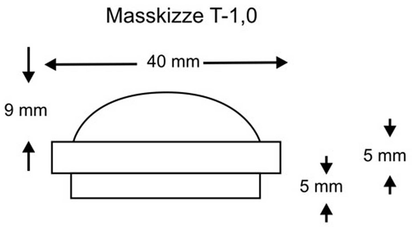 T-1.0 Kalottenhochtöner